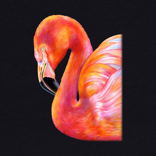 Flamingo by Tim Jeffs Art